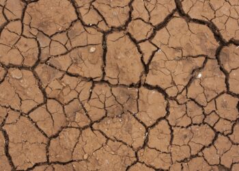 Everyday Actions to Combat Climate Change