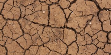 Everyday Actions to Combat Climate Change