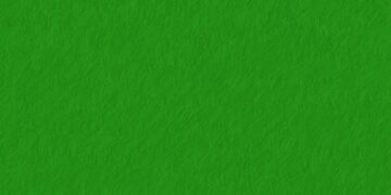 Green Living Essentials: Secrets to a Sustainable Lifestyle