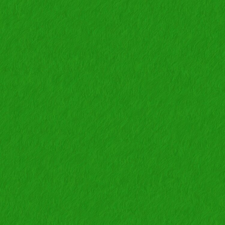 Green Living Essentials: Secrets to a Sustainable Lifestyle