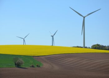 Shifting to Solar: A Comprehensive Guide to Transitioning Your Home to Renewable Energy