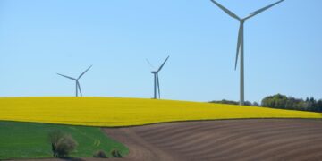 Shifting to Solar: A Comprehensive Guide to Transitioning Your Home to Renewable Energy