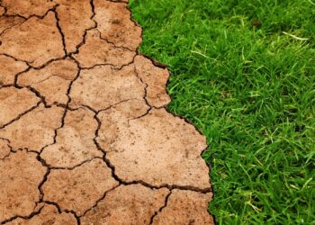 Green Profits: How Climate Policy is Reshaping Business Strategies