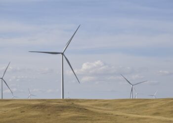 Embracing a Sustainable Future: Innovations in Plastic-Free Alternatives