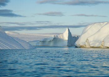 Green Strategies: How Climate Policy is Reshaping Business Models