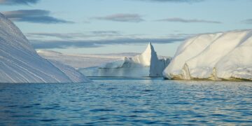 Green Strategies: How Climate Policy is Reshaping Business Models