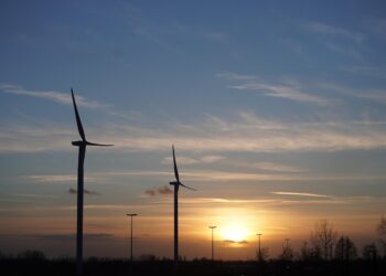 Shifting Winds: Emerging Trends in Global Climate Policy