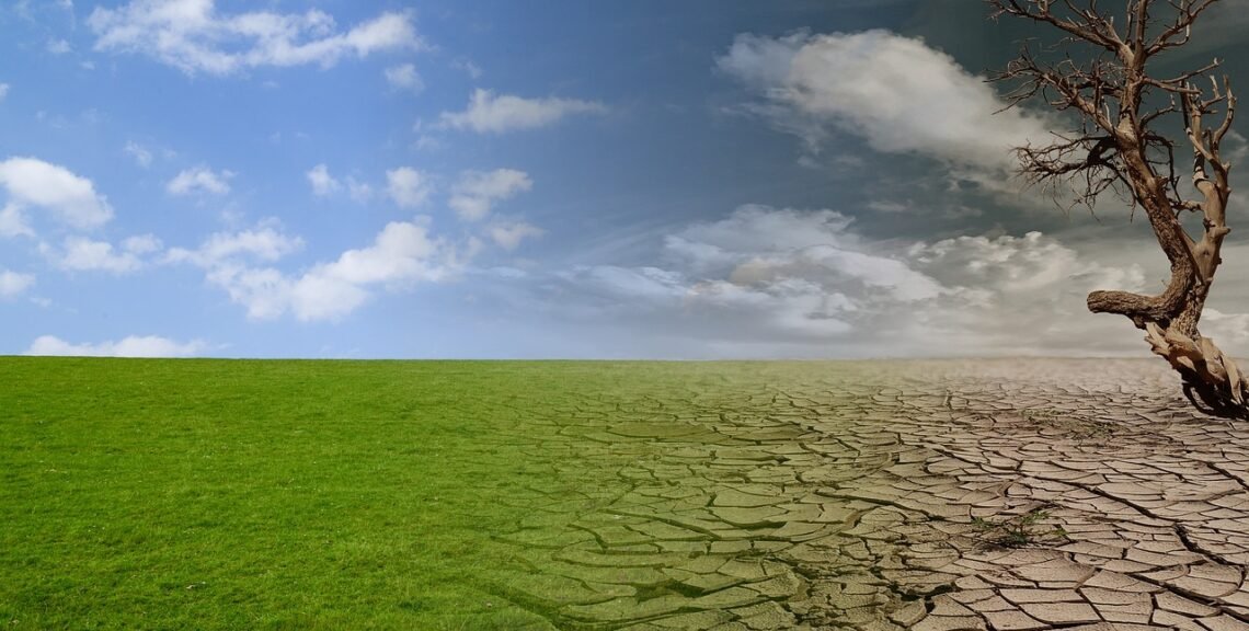 Unmasking the Heat: Essential Global Warming Facts for Young Minds