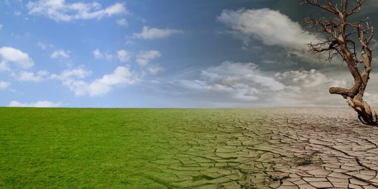 Unmasking the Heat: Essential Global Warming Facts for Young Minds