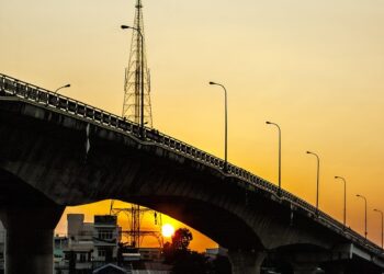 Innovative Solutions for Sustainability: Startups to Watch