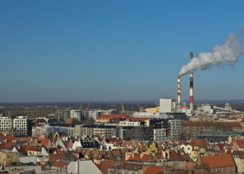 Vanishing Habitats: The Critical Loss of Biodiversity Globally