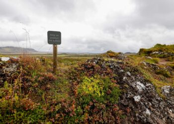 Global Leaders Commit to Revolutionary Climate Agreement