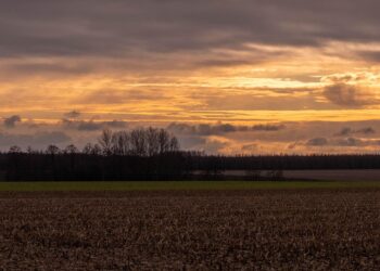 Green Energy Essentials: A Beginner's Guide to Sustainable Solutions