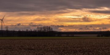 Green Energy Essentials: A Beginner's Guide to Sustainable Solutions