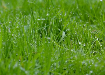 The Transformative Power of Green Technology