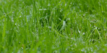 The Transformative Power of Green Technology