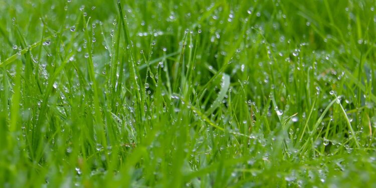 The Transformative Power of Green Technology