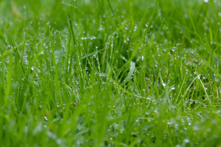 The Transformative Power of Green Technology