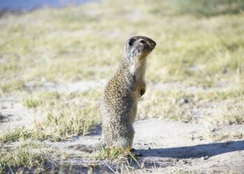 Navigating the Basics of Global Warming: A Starter Guide