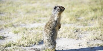 Navigating the Basics of Global Warming: A Starter Guide