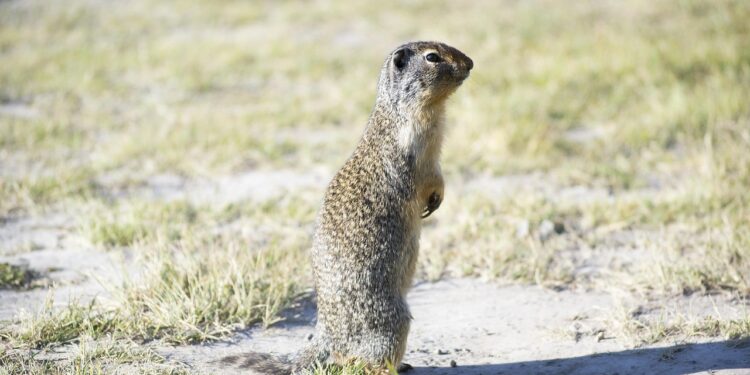 Navigating the Basics of Global Warming: A Starter Guide