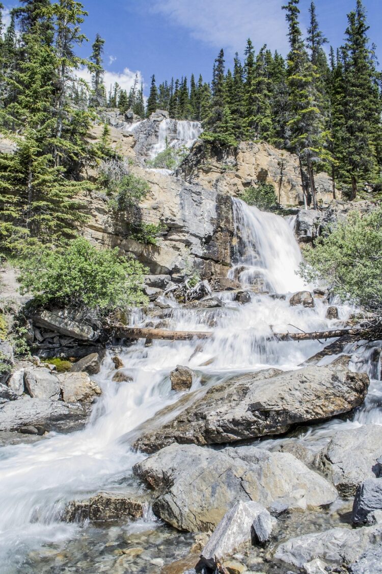 Shifting Habitats: Unveiling the Impact of Global Warming on Wildlife