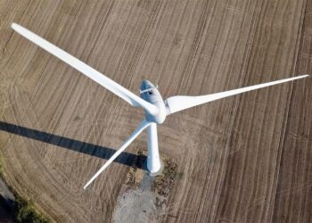 Eco-Friendly Essentials: Revolutionizing Daily Life with Plastic-Free Alternatives