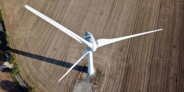 Eco-Friendly Essentials: Revolutionizing Daily Life with Plastic-Free Alternatives