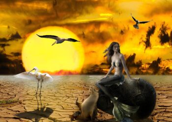 Global Unity in Combat: The Impact of International Climate Agreements on Reducing Carbon Emissions