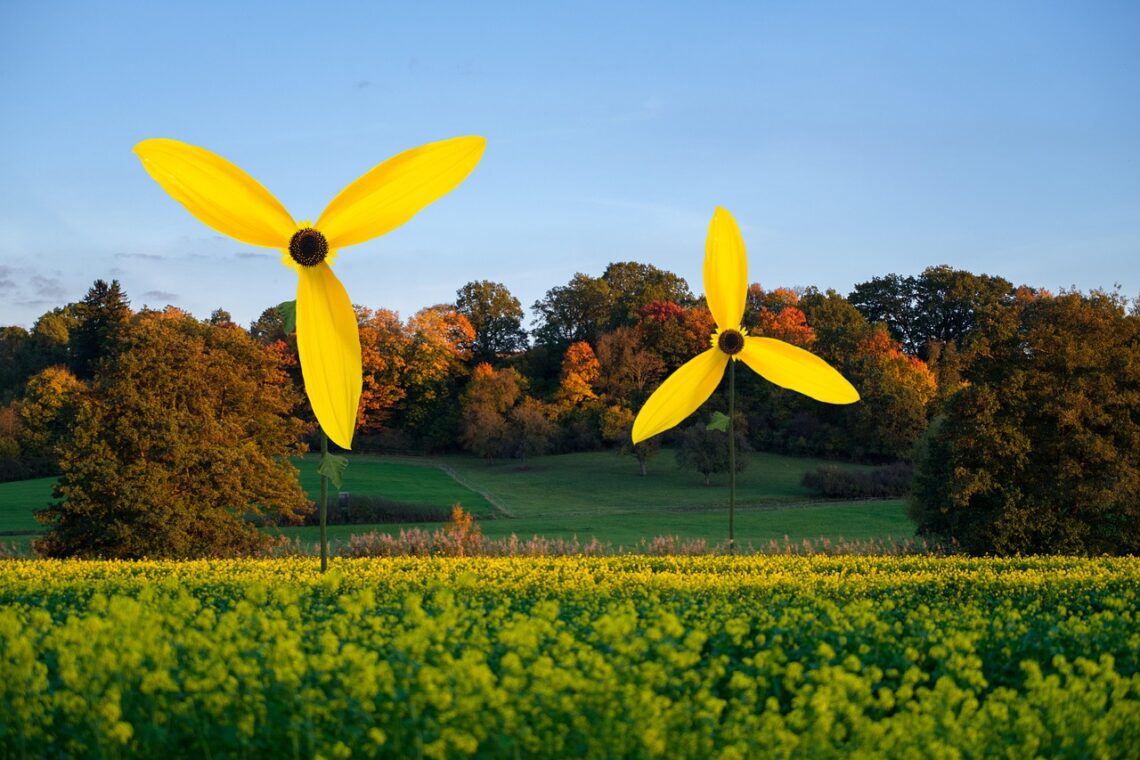 Harnessing the Power of Nature: The Essential Guide to Renewable Energy
