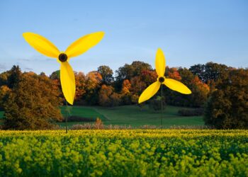 Harnessing the Power of Nature: The Essential Guide to Renewable Energy
