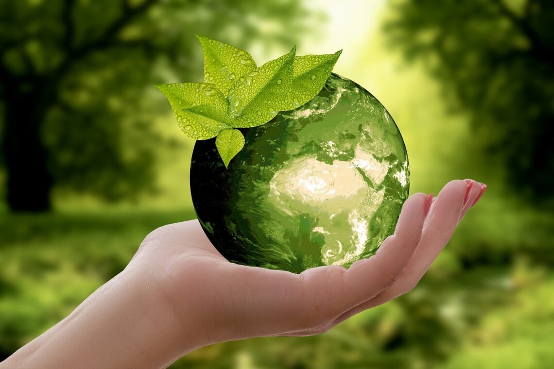 Plant-Based Diets: A Gateway to Sustainability