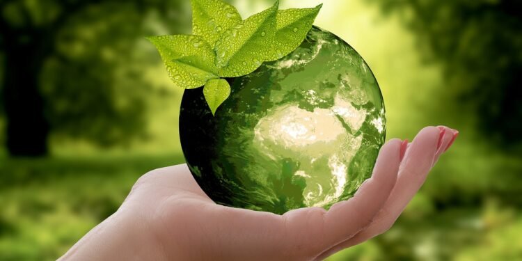 Plant-Based Diets: A Gateway to Sustainability