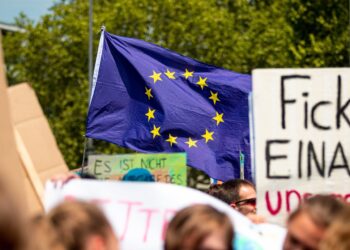 Global Coordination: The Impact of International Climate Agreements on Environmental Policy