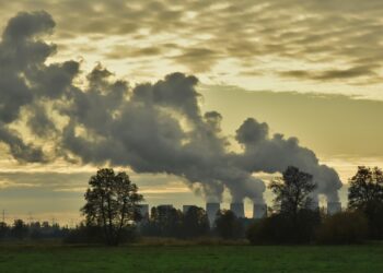 Shifting Gears: How Sustainable Transportation Can Drastically Reduce Carbon Emissions