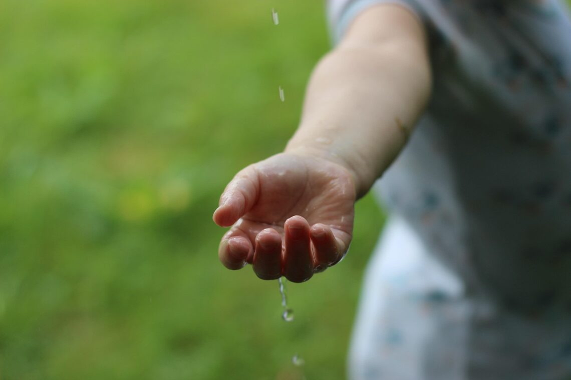 Zero Waste Living Simplified: Easy Steps for Eco-Conscious Beginners