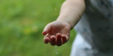 Zero Waste Living Simplified: Easy Steps for Eco-Conscious Beginners