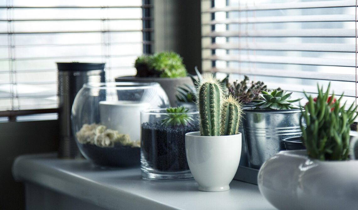 Green Living Made Easy: Everyday Sustainability Tips