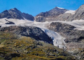 Regulatory Frameworks for Environmental Protection by Country