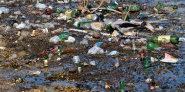 Global Warming 101: What It Is and Why It Matters