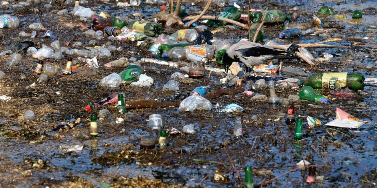 Global Warming 101: What It Is and Why It Matters