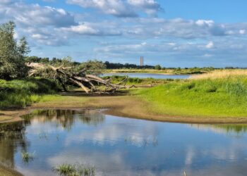 Global Warming Mitigation Strategies