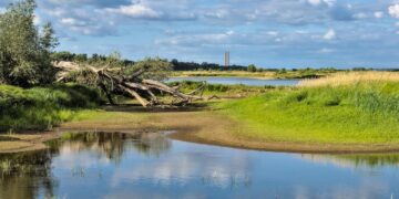 Global Warming Mitigation Strategies