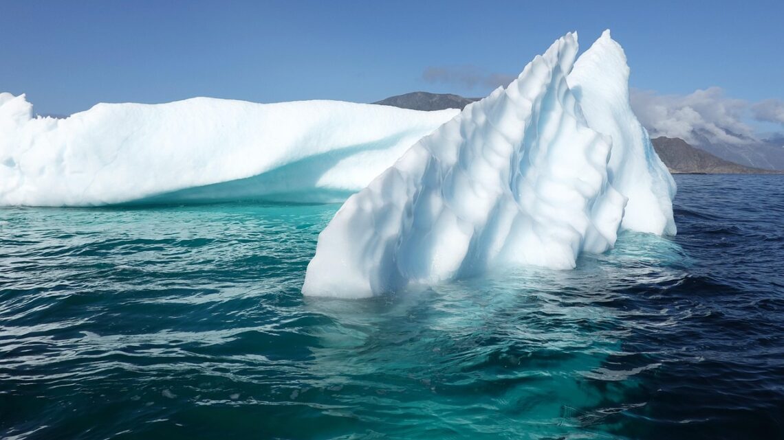 Green Strategies: How Climate Policy is Reshaping Business Landscapes