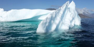 Green Strategies: How Climate Policy is Reshaping Business Landscapes